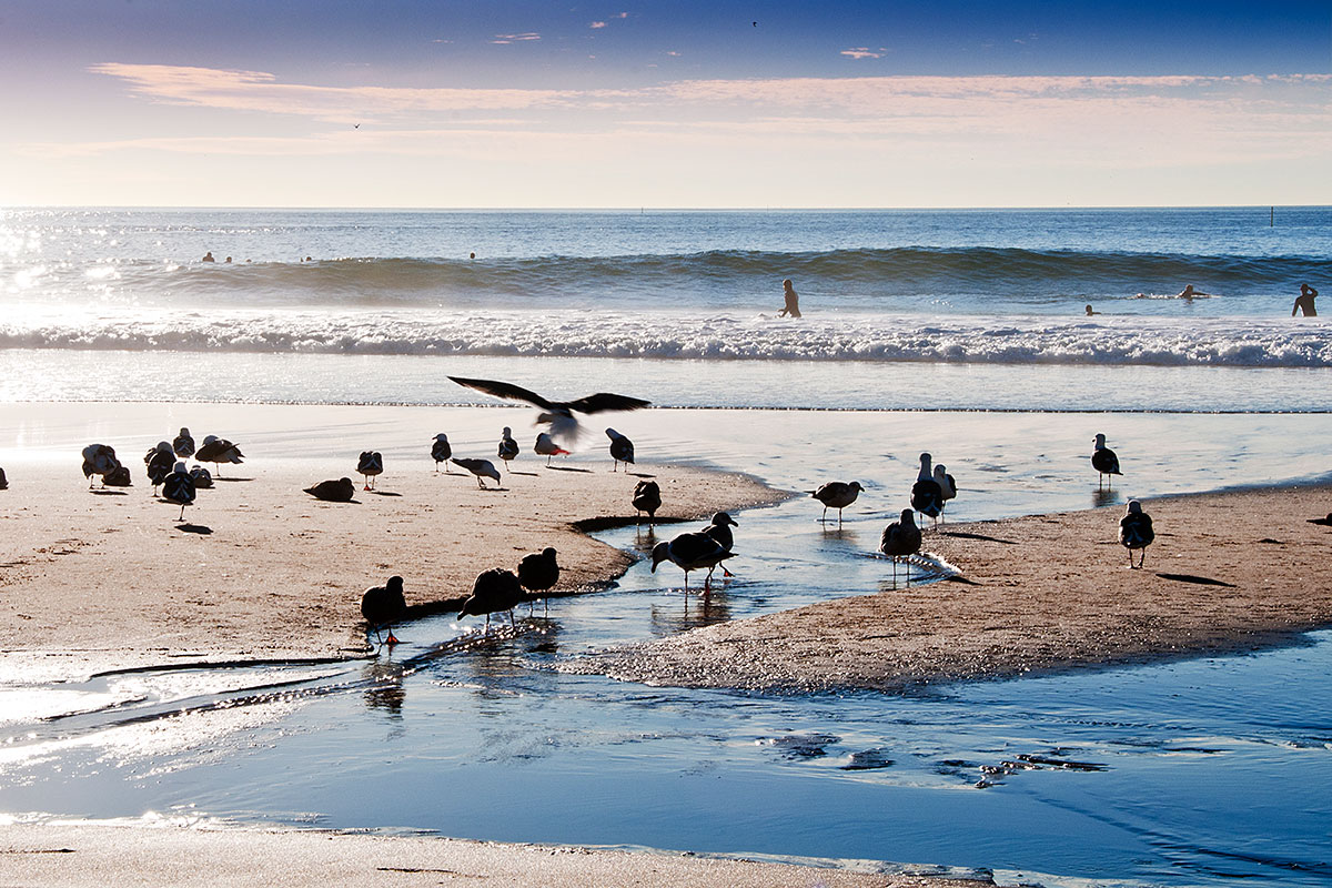 Hermosa Beach Beaches Harbors