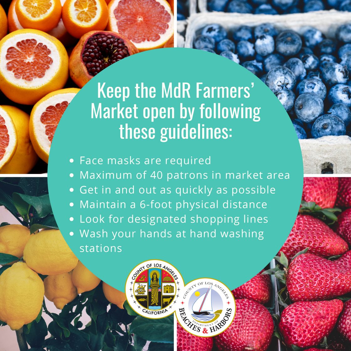 Marina del Rey Farmer’s Market – Beaches & Harbors