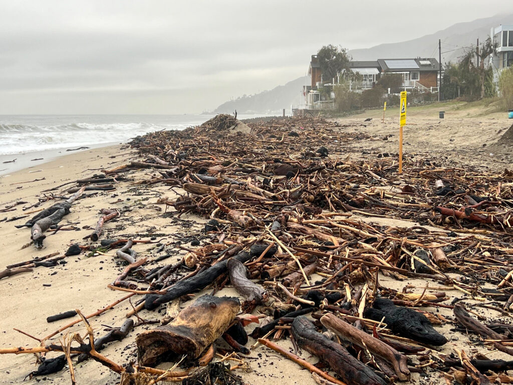 Charred wildfire debris at the tideline of Topanga Beach