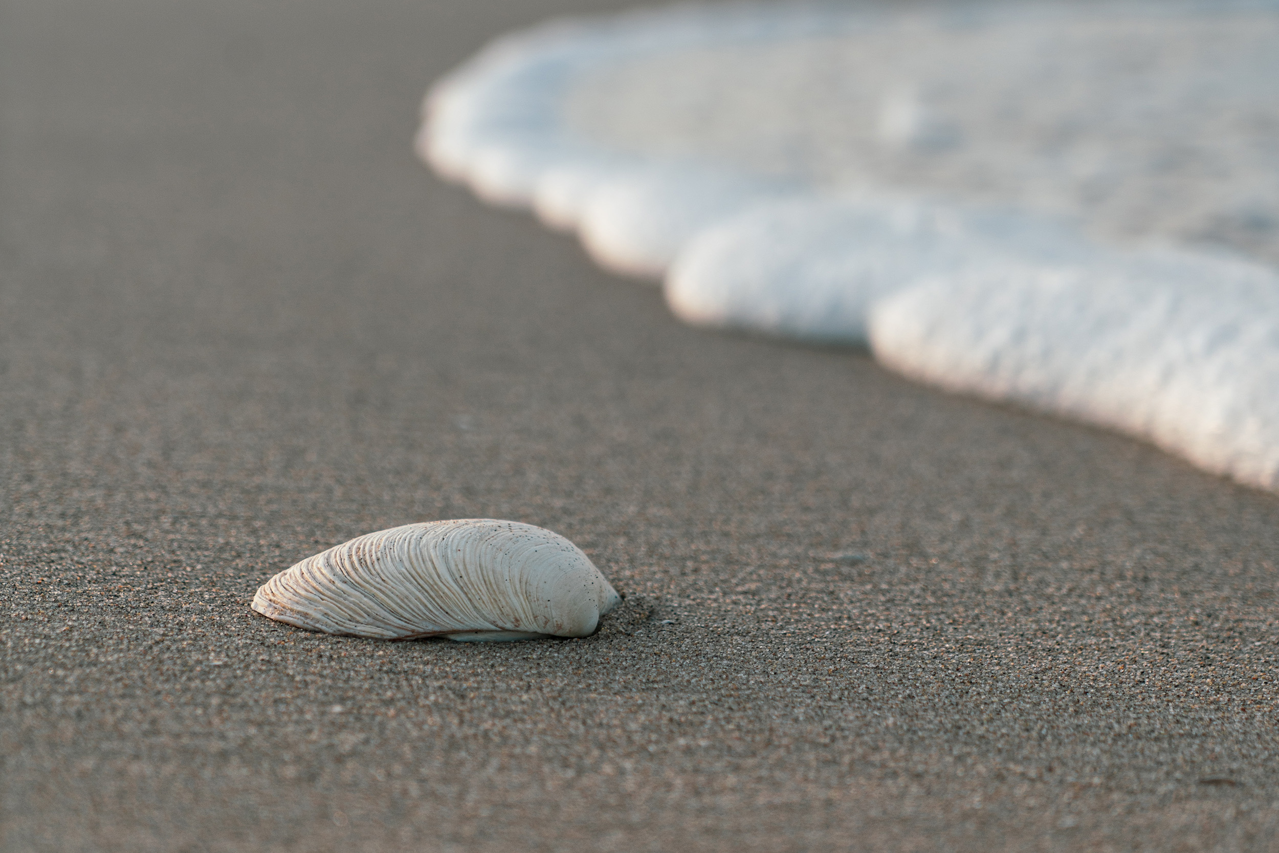 Environmental Notices – Beaches & Harbors