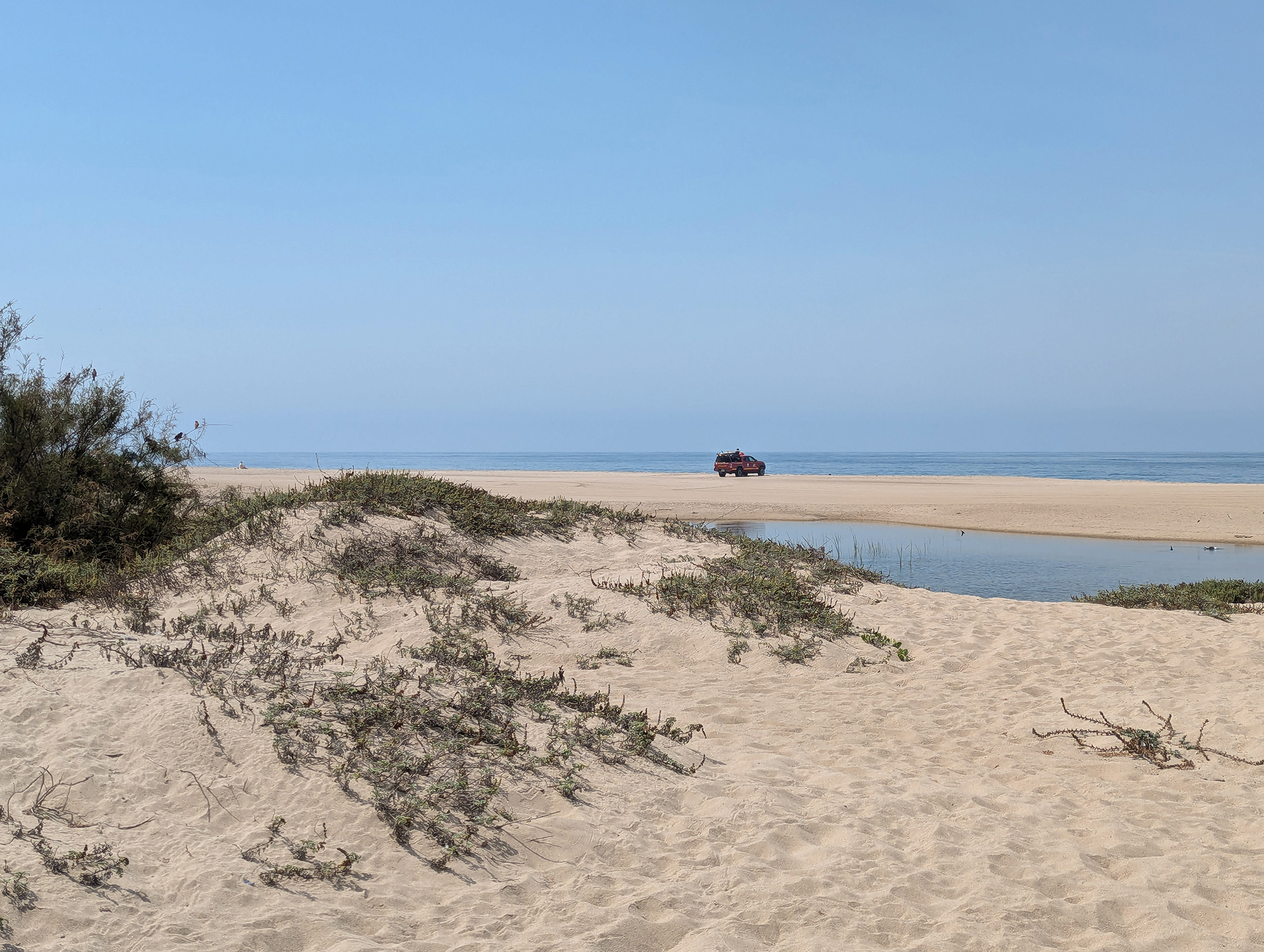 Dune system at Zuma Lagoon